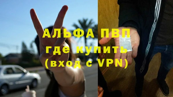 стафф Богданович