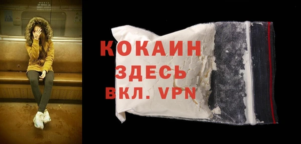 стафф Богданович