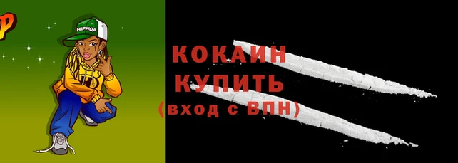 кокс Богородицк