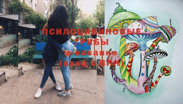 стафф Богданович