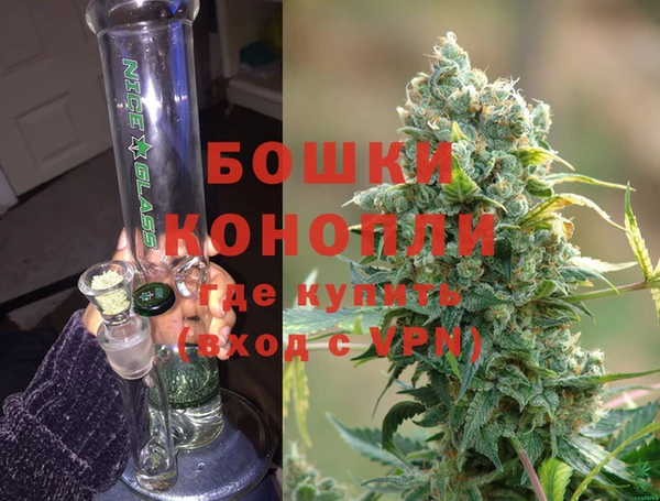 стафф Богданович